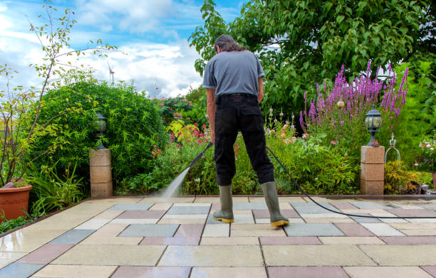 Reliable Clayton, AL Pressure Washing Services Solutions